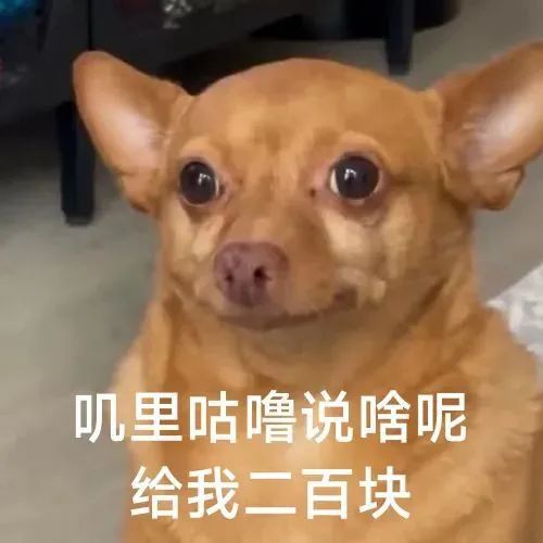 女生应聘被要求视频看腿!网友:看腿力够不够踩刹车?公司回应涉事人员已开除,完全是其个人爱好!