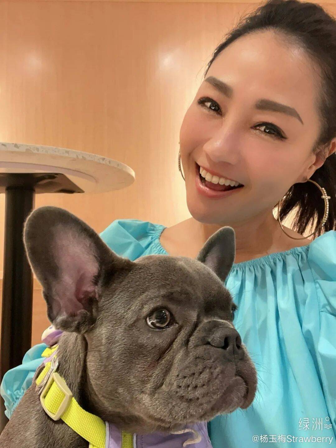TVB杨玉梅自曝不适当经历:富豪邀请单独会面,一句话拉黑