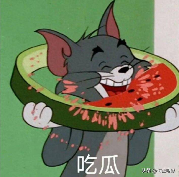 杨紫新剧遭恶意刷分,内娱一日六瓜盘点