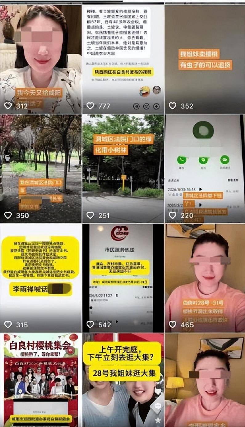 李雨禅后续处理:果农曝细节,民事追责启动