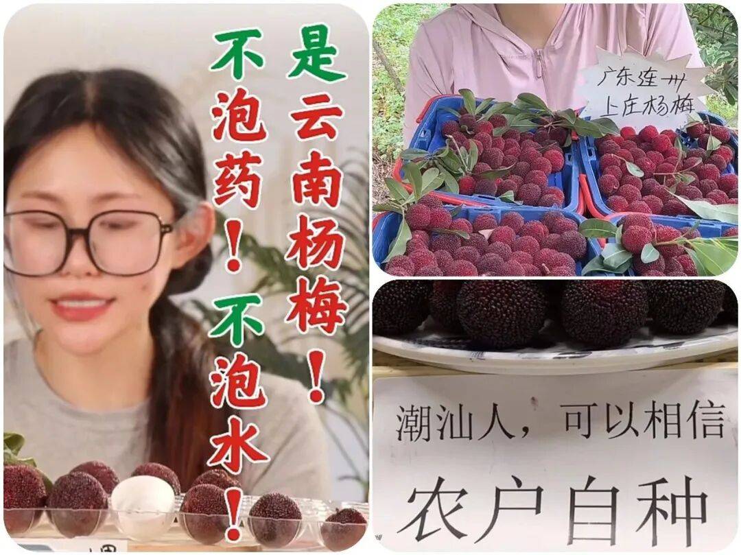 杨梅塌房事件:违规添加剂毁掉果农信任