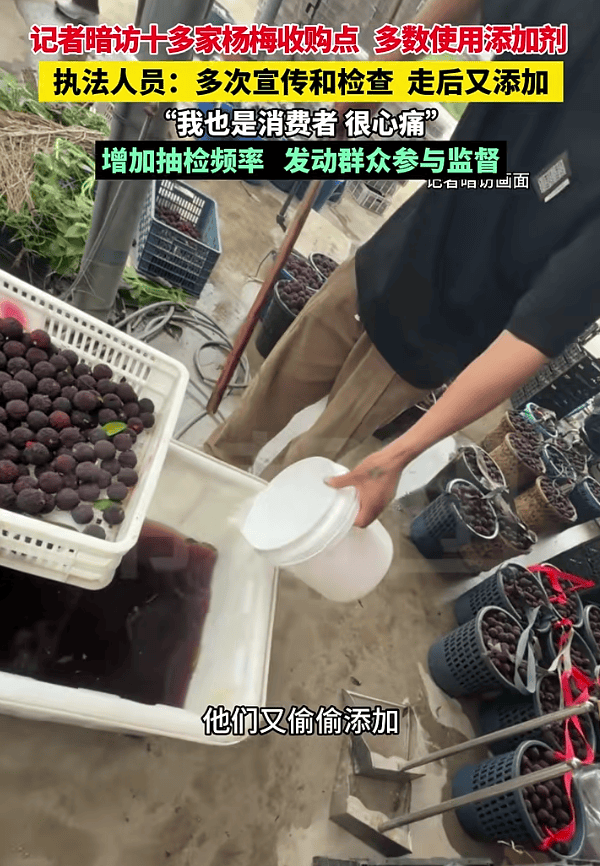 杨梅塌房事件:违规添加剂毁掉果农信任