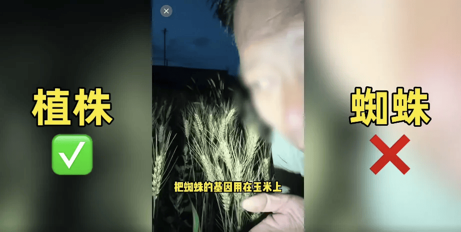 200万网红造谣袁隆平杂交水稻害人，账号被封